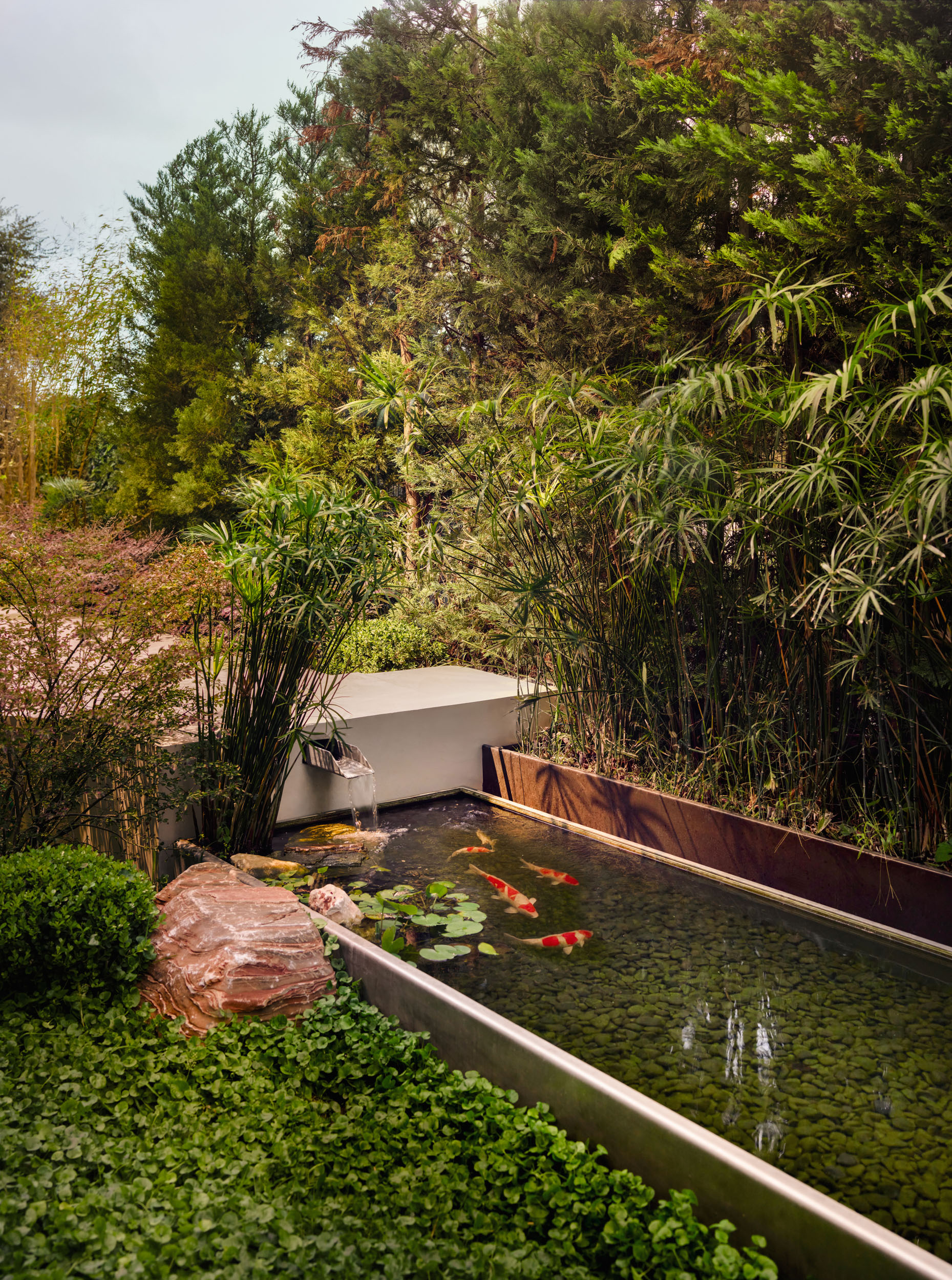 Koi pond and bamboo garden with corten planters — Zekeriyakoy TP House landscape
